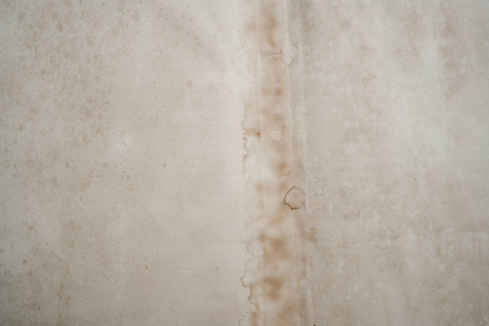 Brown water stain on a white ceiling