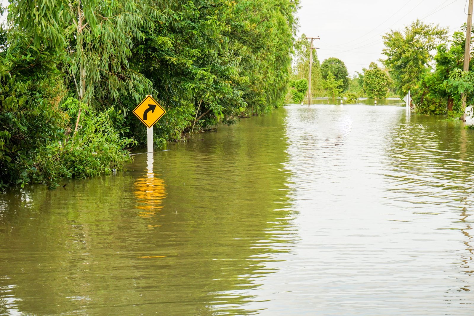 Floodwater covering a tree-lined road after heavy rain